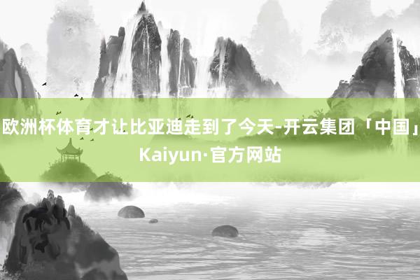 欧洲杯体育才让比亚迪走到了今天-开云集团「中国」Kaiyun·官方网站