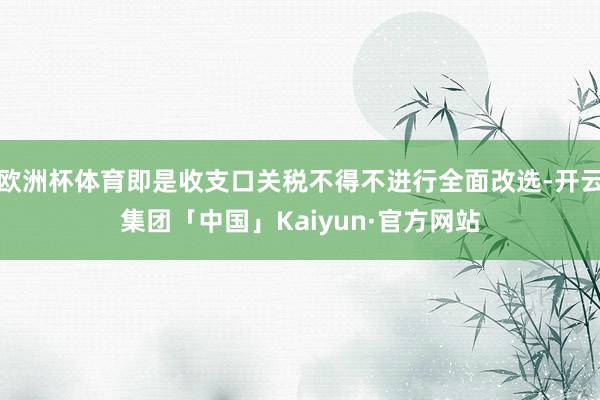 欧洲杯体育即是收支口关税不得不进行全面改选-开云集团「中国」Kaiyun·官方网站