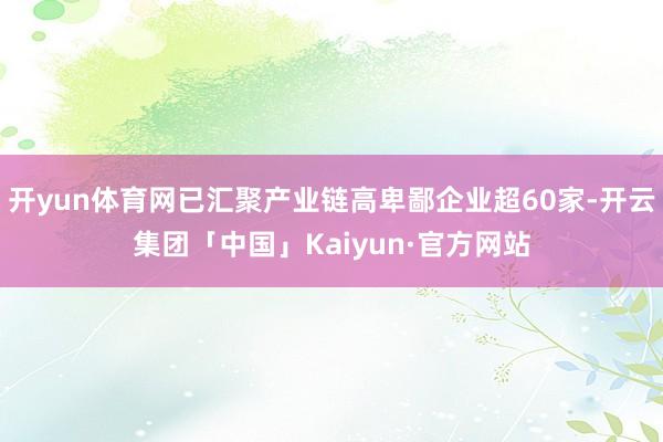 开yun体育网已汇聚产业链高卑鄙企业超60家-开云集团「中国」Kaiyun·官方网站