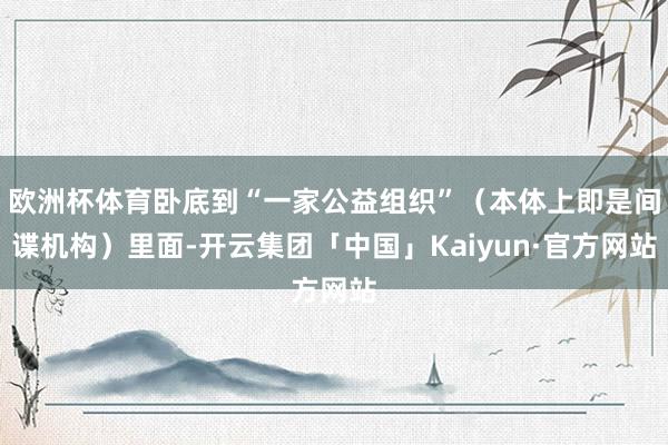 欧洲杯体育卧底到“一家公益组织”（本体上即是间谍机构）里面-开云集团「中国」Kaiyun·官方网站