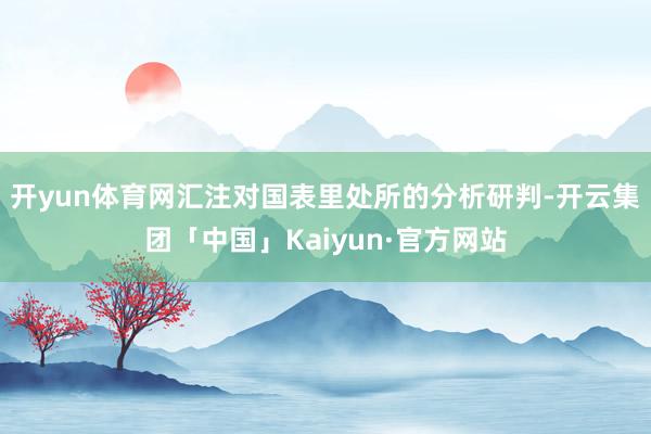开yun体育网汇注对国表里处所的分析研判-开云集团「中国」Kaiyun·官方网站