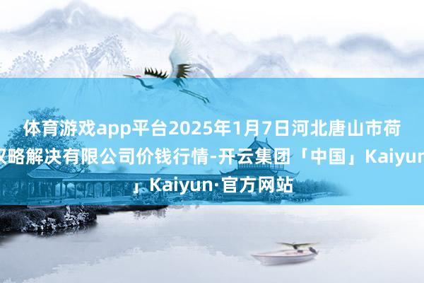 体育游戏app平台2025年1月7日河北唐山市荷花坑阛阓权略解决有限公司价钱行情-开云集团「中国」Kaiyun·官方网站