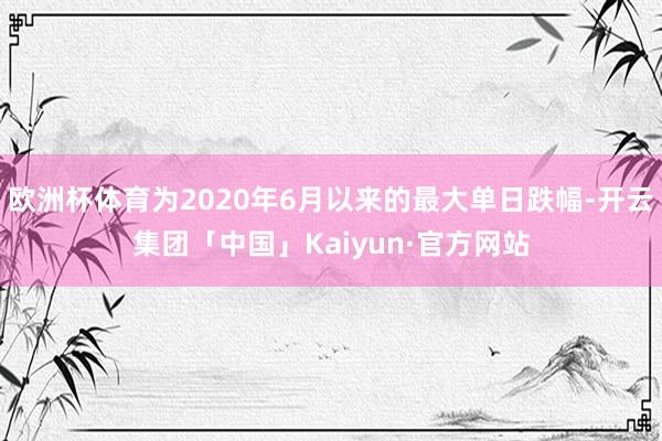 欧洲杯体育为2020年6月以来的最大单日跌幅-开云集团「中国」Kaiyun·官方网站