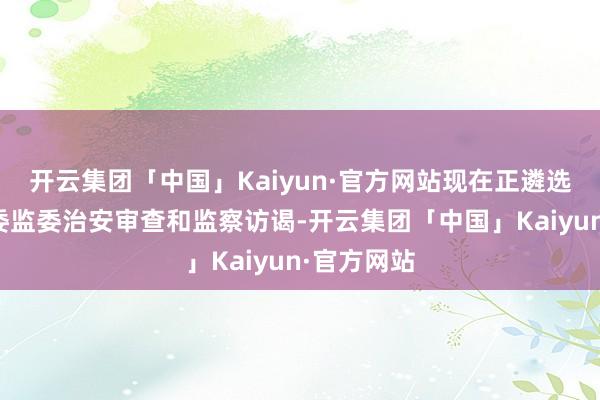 开云集团「中国」Kaiyun·官方网站现在正遴选河南省纪委监委治安审查和监察访谒-开云集团「中国」Kaiyun·官方网站