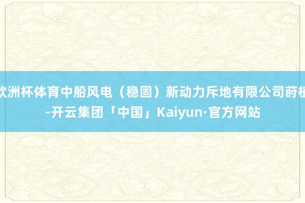 欧洲杯体育中船风电（稳固）新动力斥地有限公司莳植-开云集团「中国」Kaiyun·官方网站