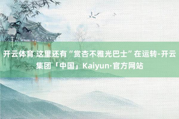 开云体育 这里还有“赏杏不雅光巴士”在运转-开云集团「中国」Kaiyun·官方网站
