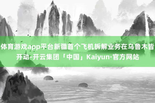 体育游戏app平台新疆首个飞机拆解业务在乌鲁木皆开动-开云集团「中国」Kaiyun·官方网站