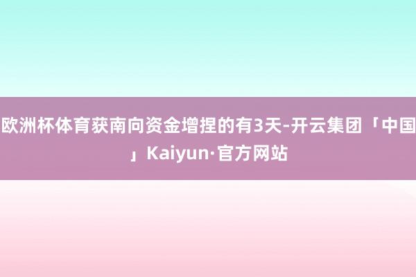 欧洲杯体育获南向资金增捏的有3天-开云集团「中国」Kaiyun·官方网站