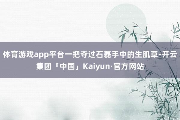 体育游戏app平台一把夺过石磊手中的生肌草-开云集团「中国」Kaiyun·官方网站