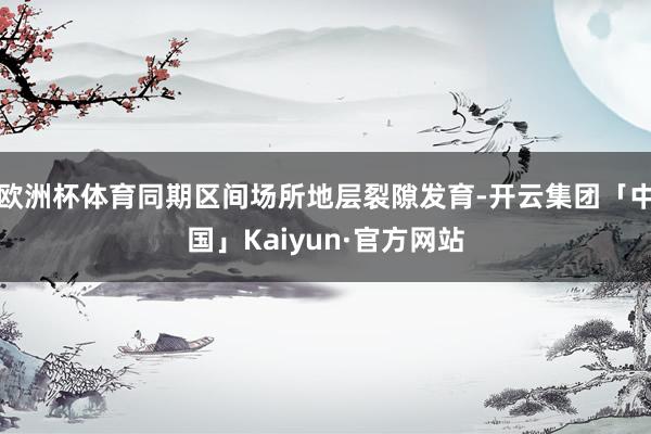 欧洲杯体育同期区间场所地层裂隙发育-开云集团「中国」Kaiyun·官方网站